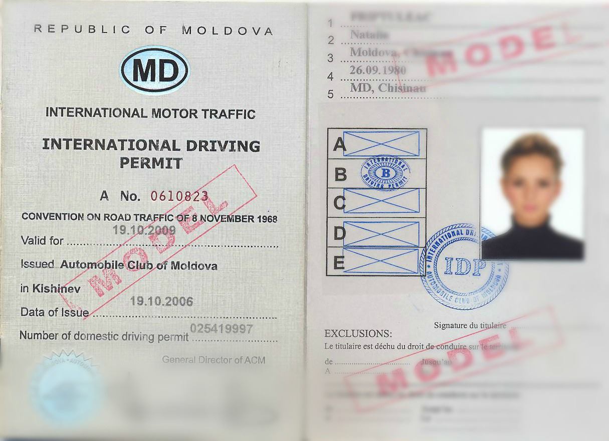 Permisul de conducere internațional: Ai nevoie de el atunci când conduci în afara Moldovei?
