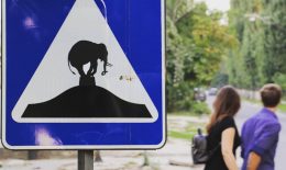 „Vandalizare artistică” a indicatoarelor rutiere din Chișinău